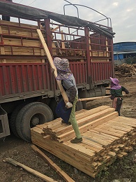 中交第一航务工程局有限公司再次订购金生水松木木方