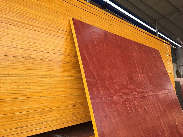 桉木建筑模板