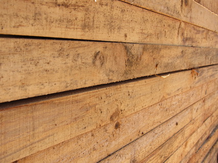 影响建筑木方强度的主要因素有哪些？