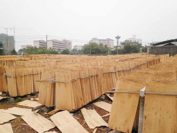 广西建筑模板价格波动太大该如何选择？