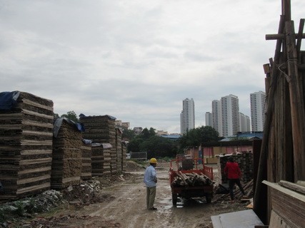 建筑模板批发