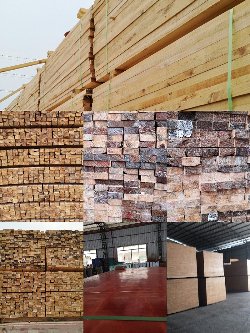 广西模板木方厂家—1对1专员服务，解决问题更快更及时【金生水】