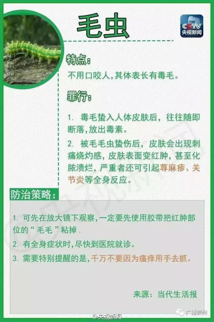 夏季要注意蚊虫，已有一人不治身亡。