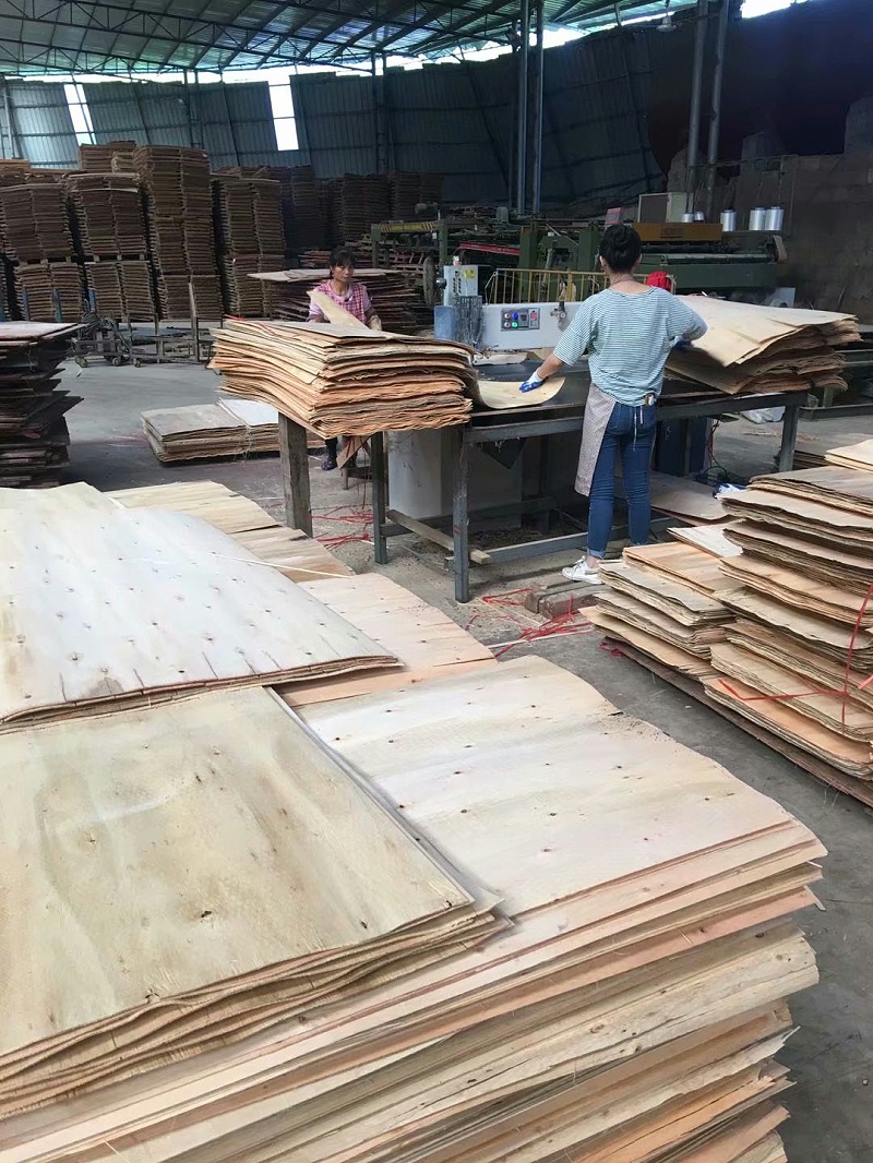 建筑模板原料"单板"是怎么加工的?