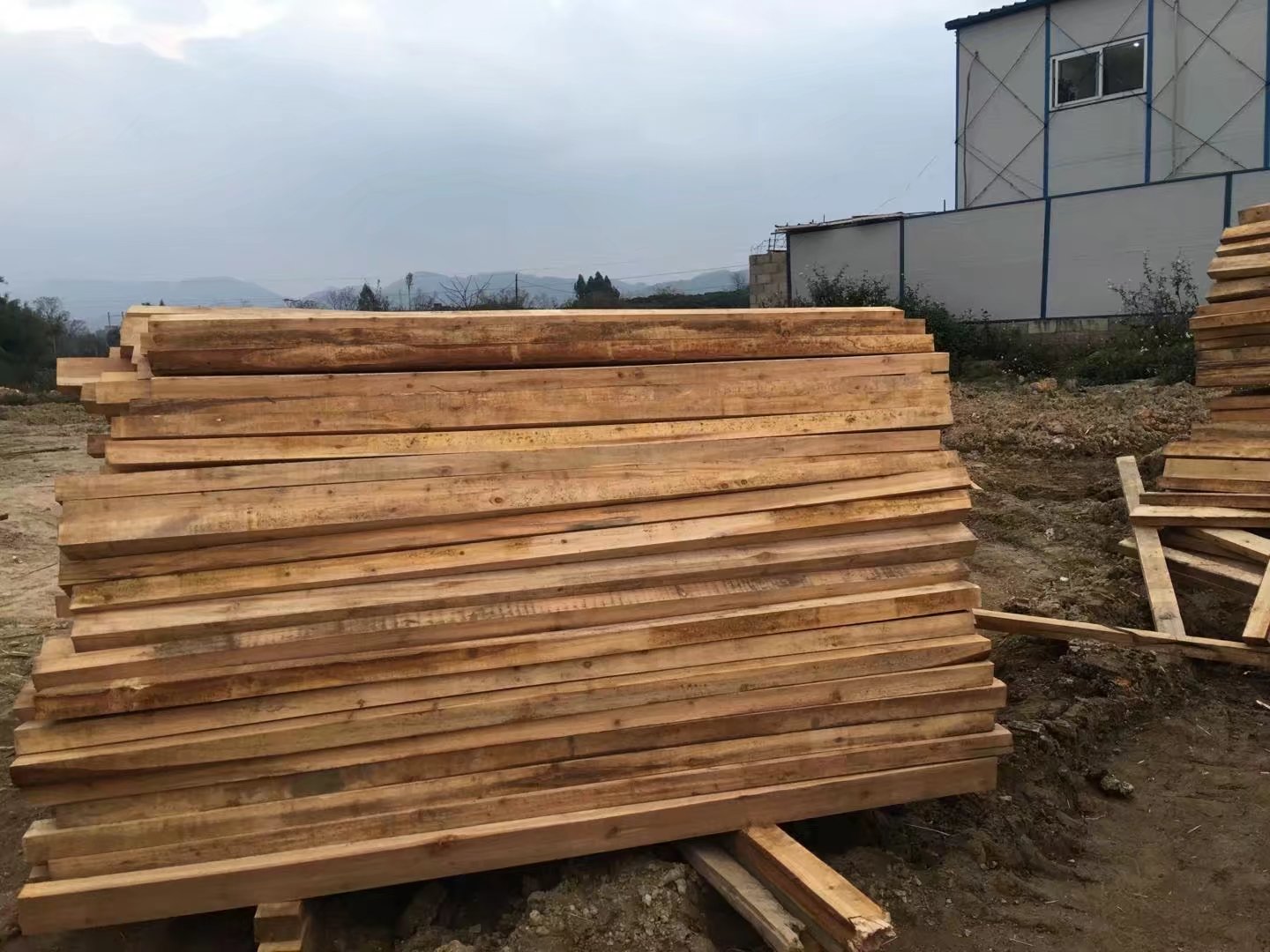 工地建筑木方多少钱一根